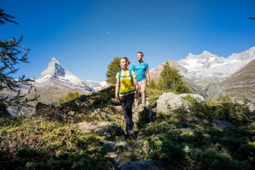 Chalet Rofel Daire Zermatt Dış mekan fotoğraf