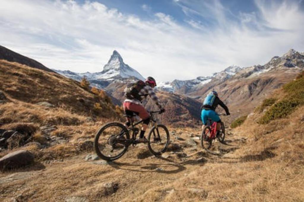 Chalet Rofel Daire Zermatt Dış mekan fotoğraf
