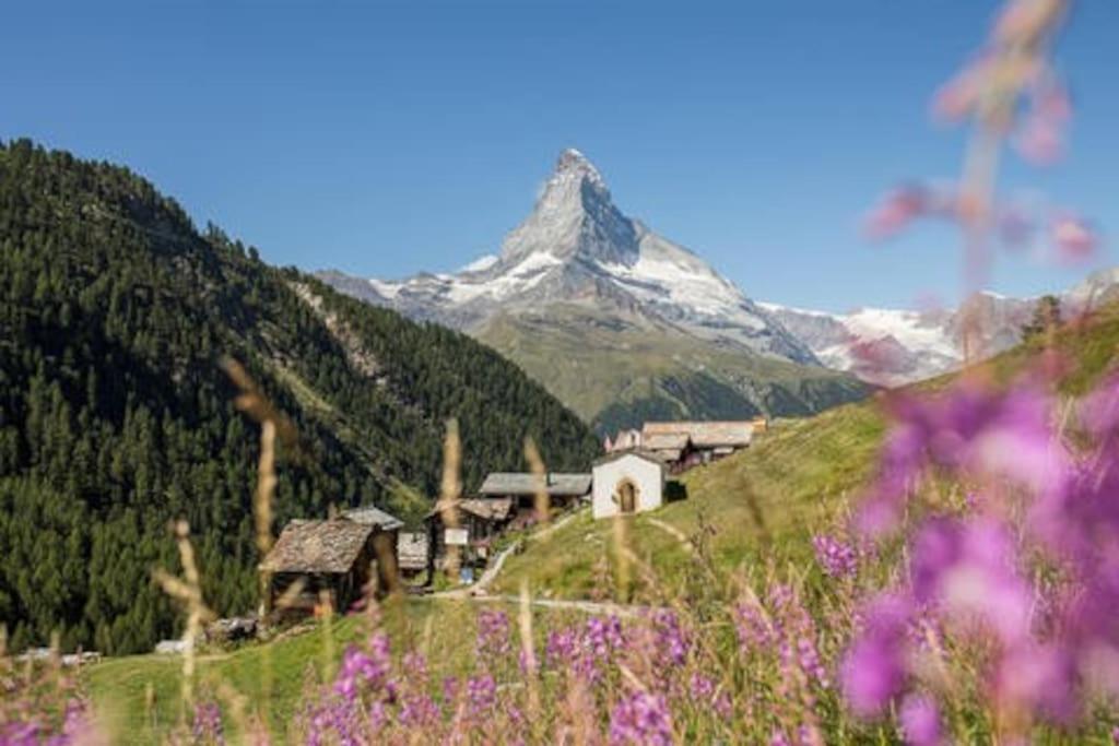 Chalet Rofel Daire Zermatt Dış mekan fotoğraf
