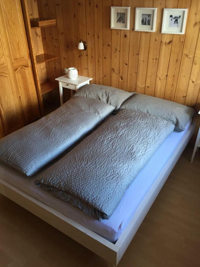 Chalet Rofel Daire Zermatt Dış mekan fotoğraf